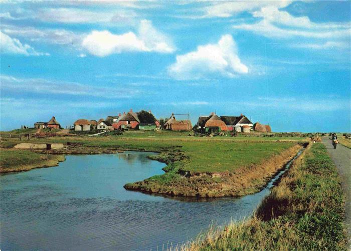 Hallig Hooge Westerwarft