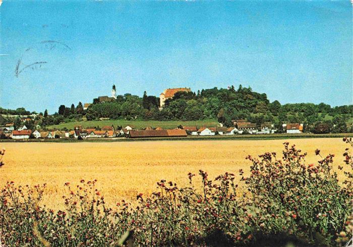 Erbach Neckar Panorama