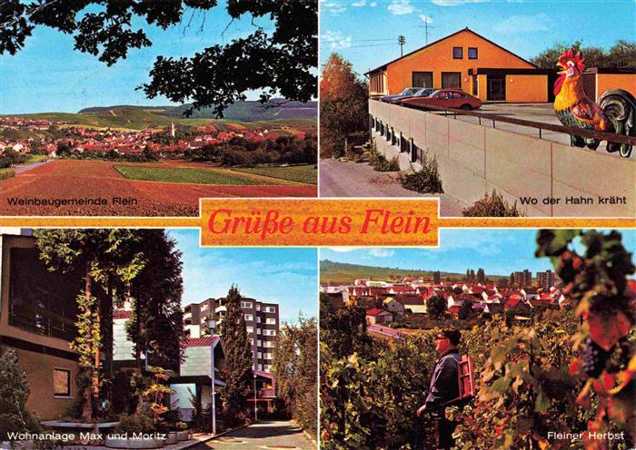 Flein Flein Panorama Winzergenossenschaft Wohnanlage Max und Moritz Fleininger H