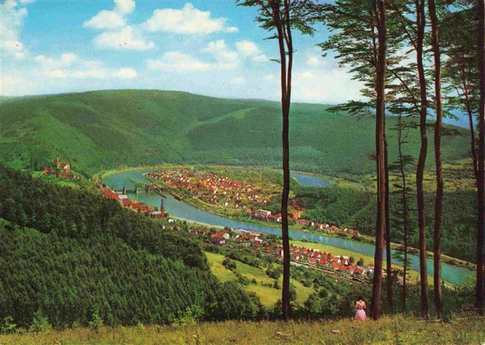 Hirschhorn Neckar Panorama