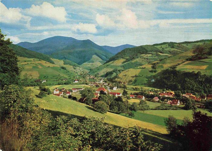 Muenstertal  Schwarzwald Panorama