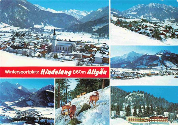 HINDELANG Oberallgaeu Kirche Panorama Wildfuetterung Teilansichten