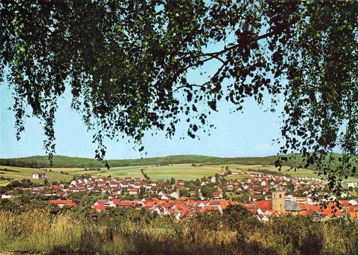 Neukirchen Waldeck Panorama