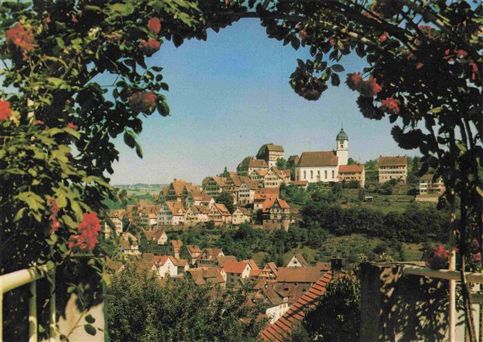 Altensteig Schwarzwald Panorama mit Kirche