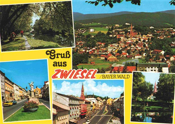 Zwiesel  Niederbayern Waldpartie Panorama Ortsstrassen Park
