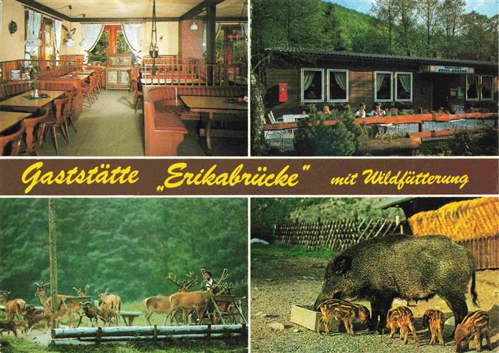 Bad Lauterberg Gaststaette Erikabruecke mit Wildfuetterung