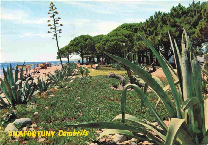 Cambrils Costa Dorada ES Playa de Vilafortuny