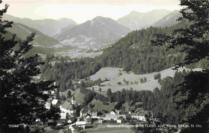Goestling Ybbs Niederoesterreich AT Panorama Sommerfrische