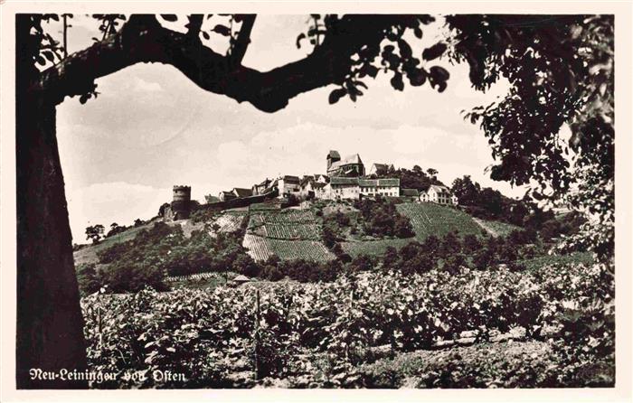 Neu-Leiningen Neuleiningen Rheinland-Pfalz Panorama Blick von Osten