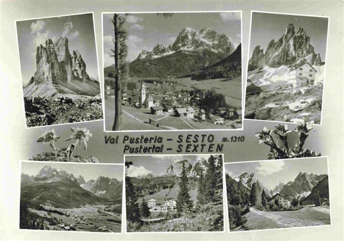 Sesto Sexten Pustertal Suedtirol IT Panorama Bergwelt Dolomiten Enzian