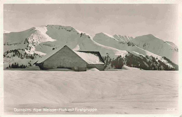 Dornbirn Vorarlberg AT Alpe Weisse Fluh mit Firstgruppe