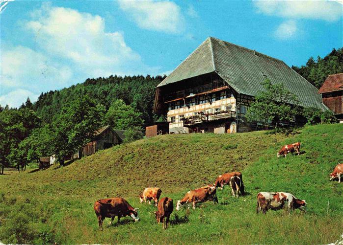 Lauterbach Schwarzwald Hasenbauernhof