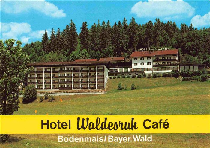 Bodenmais Regen Bayern Hotel Waldesruh Cafe