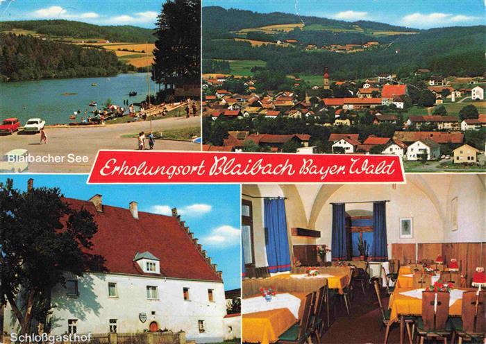 Blaibach Bayern Blaibacher See Panorama Schlossgasthof Gastraum