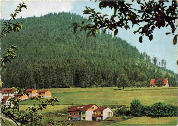 Roet Baiersbronn Kinderkurheim am Berg