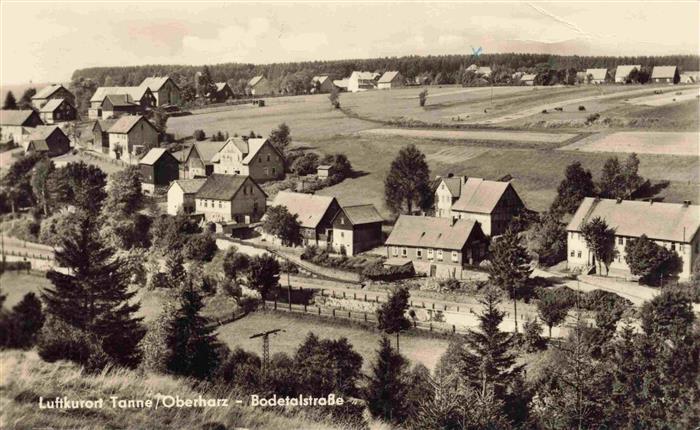 Tanne Harz Panorama Bodetalstrasse