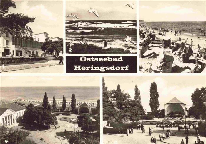 HERINGSDORF Ostseebad Usedom FDGB-Heim Solidaritaet Moewen am Strand Kulturhaus