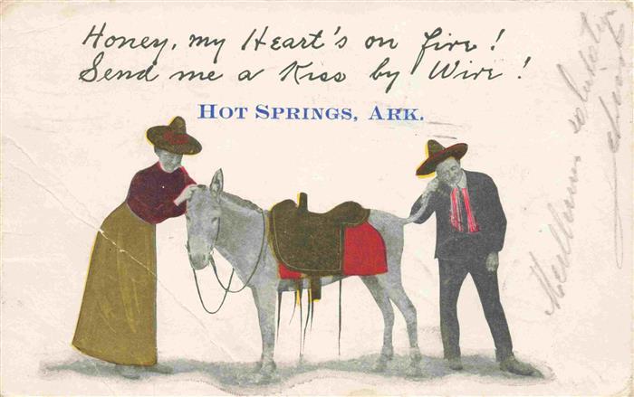 Esel Tiere Hot Springs Ark