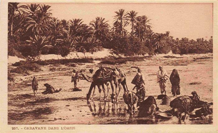 Kamele  Camel Chameau-- Tunisien Caravane dans L'oasis