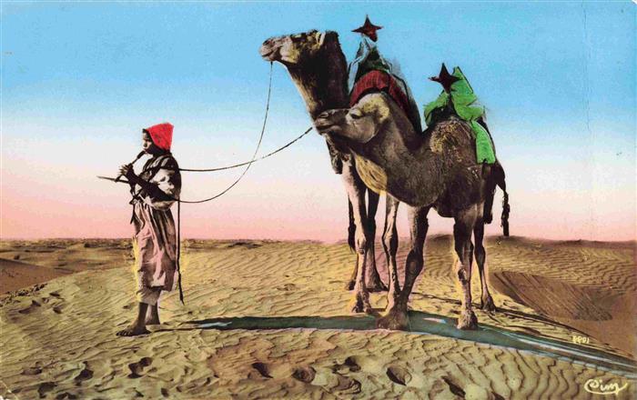 Kamele  Camel Chameau-- L'afrique Musicien