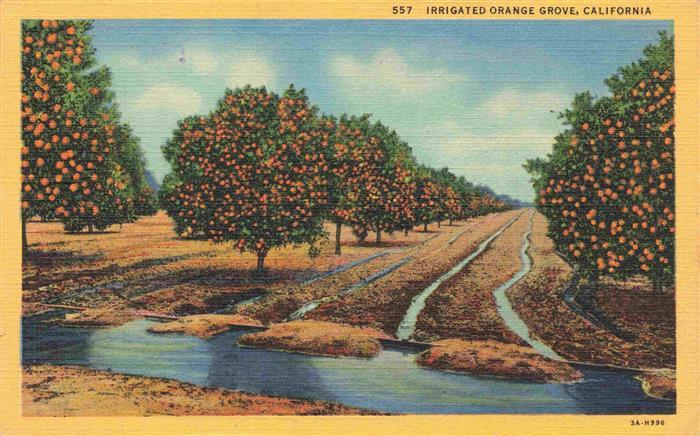 Orangen Oranges Naranjas California