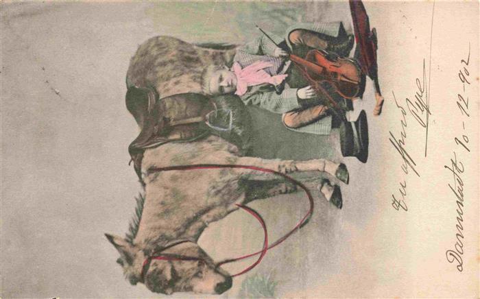 Esel Tiere Kind Hut Violine Darmstadt