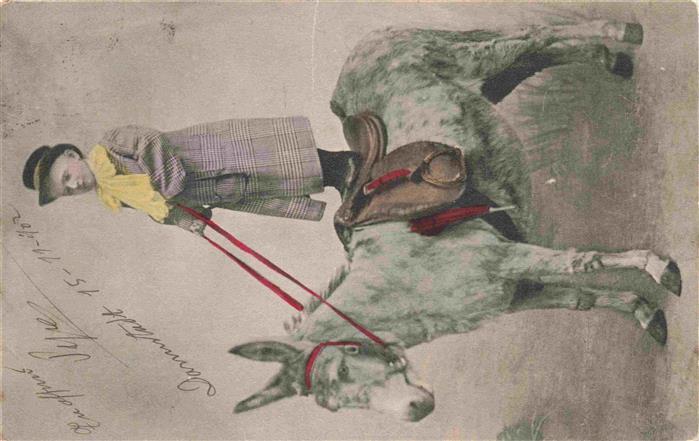 Esel Tiere Kind Regenschirm Hut