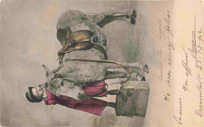 Esel Tiere Kind Hut Darmstadt