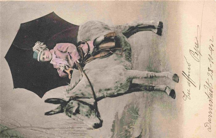 Esel Tiere Kind Regenschirm Darmstadt