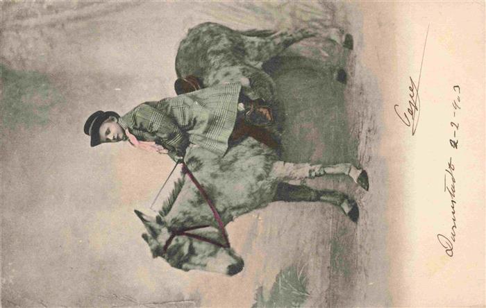 Esel Tiere Kind Darmstadt