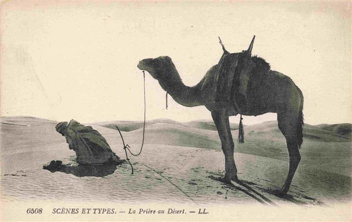 Kamele  Camel Chameau-- Sahara La Priere au Desert Gebet