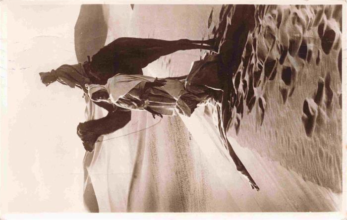 Kamele  Camel Chameau-- Cairo Egypt Sahara The Prayer in the Desert