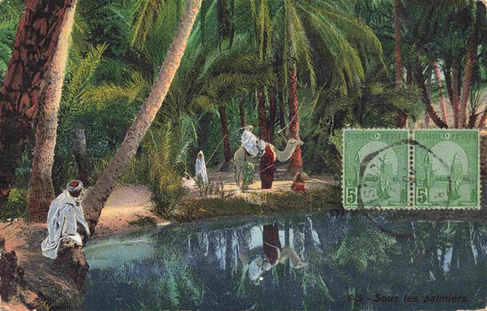 Kamele  Camel Chameau-- Sous les Palmiers