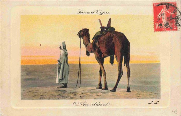 Kamele  Camel Chameau-- Sahara Au desert