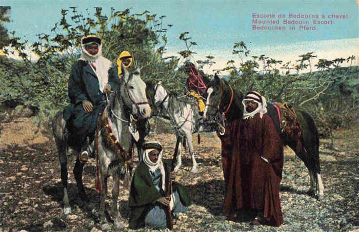 PFERDE Horses Cheval Bedouinen