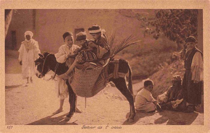 Esel Tiere Kinder Retour de l'oasis