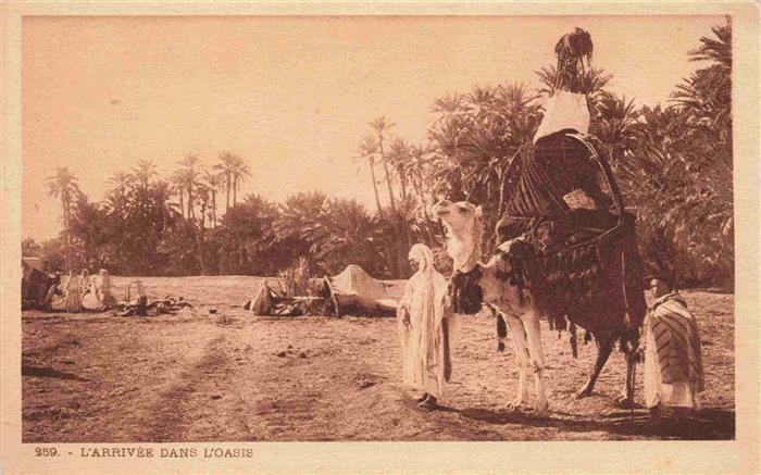 Kamele  Camel Chameau-- L'arrivee dan L'oasis