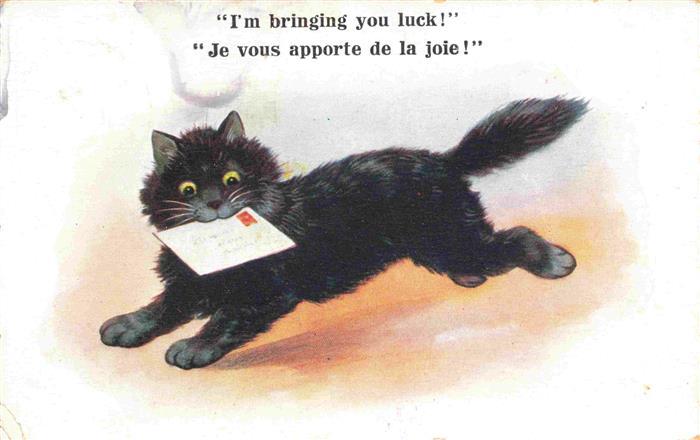 Katzen Schwarz Brief Suisse