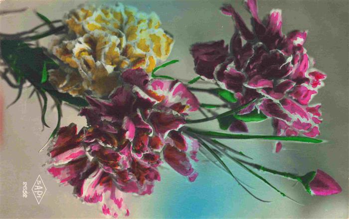 Foto SAPI Paris Nr. 2652