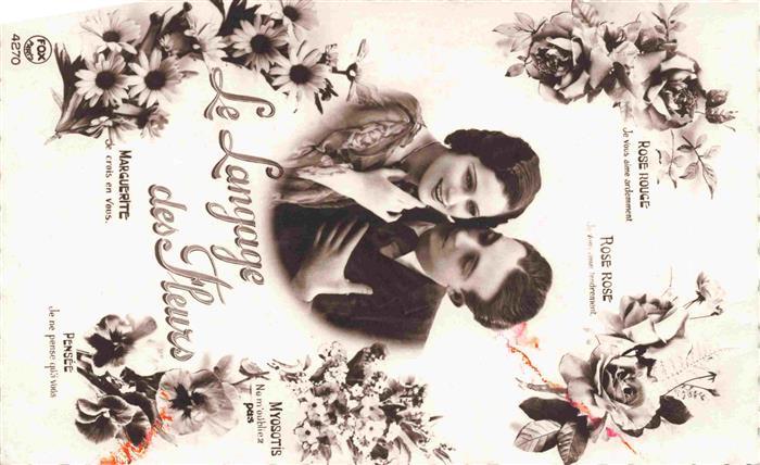 Foto FOX Paris Nr. 4270 Rosen Sprache der Blumen