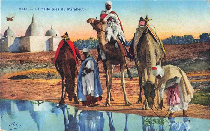 Kamele  Camel Chameau-- la halte pres Marabout Marokko Afrika