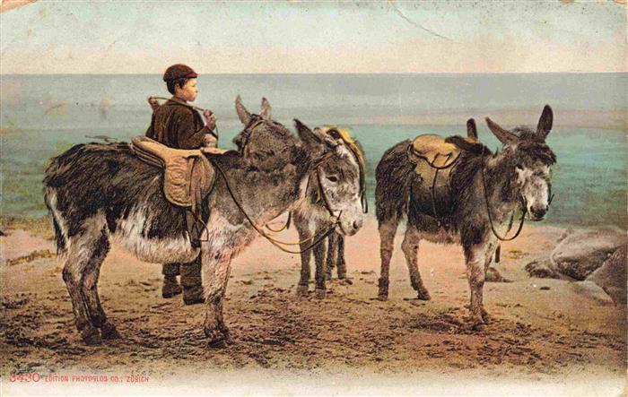 Esel Tiere Kind am Strand Fotoglob co Zuerich