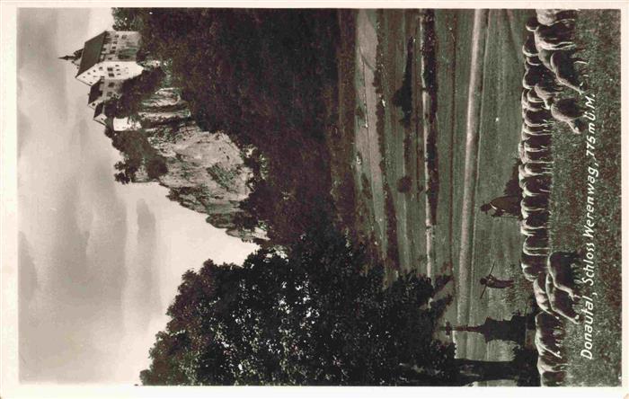 Schaeferei Sheperding Bergerie-- Donautal Schloss Werenwag