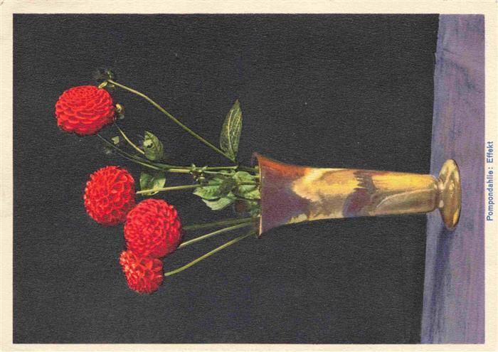 Rosen Roses Rosas-- Pompondahlie Effekt Waldhaus Luzern