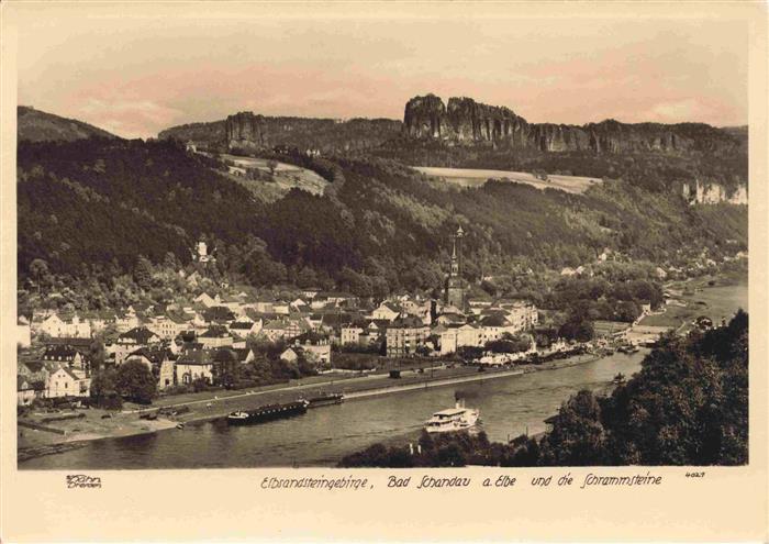 Foto Hahn Nr. Elbsandsteingebirge Bad Schandau Elbe S