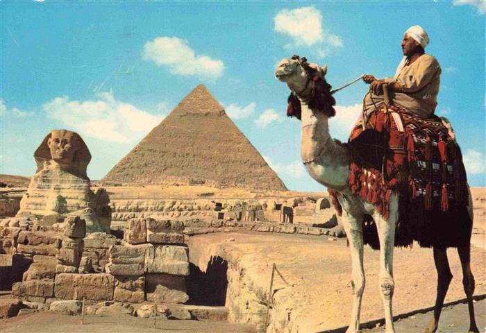 Kamele  Camel Chameau-- Tourist Guide Sphnix Giza Egypt Ahram Pyramiden