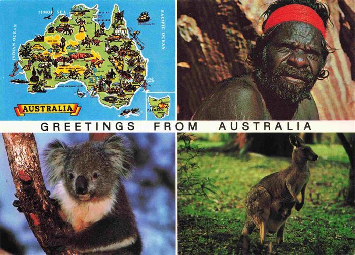 Koalabaer Kangaroo Sydney Australia