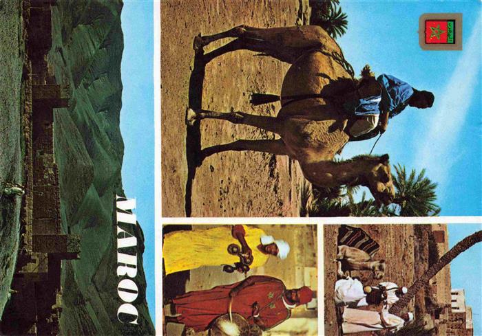 Kamele  Camel Chameau-- Maroc Meharistas de M'Hamid Oasis