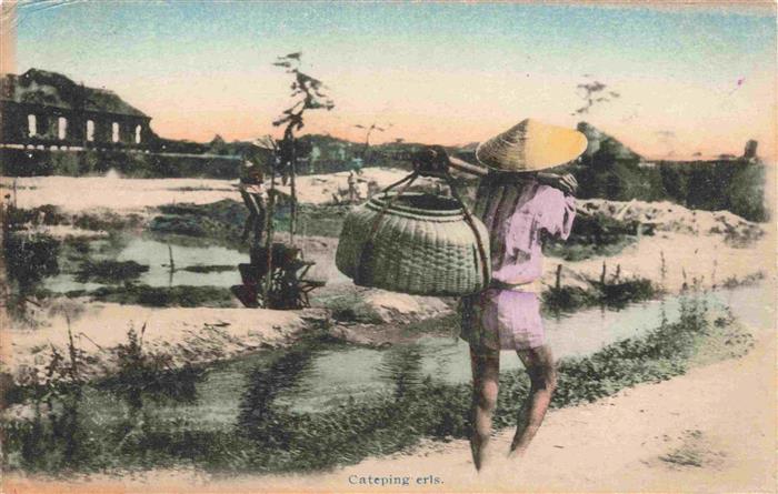 Japan Reisanbau