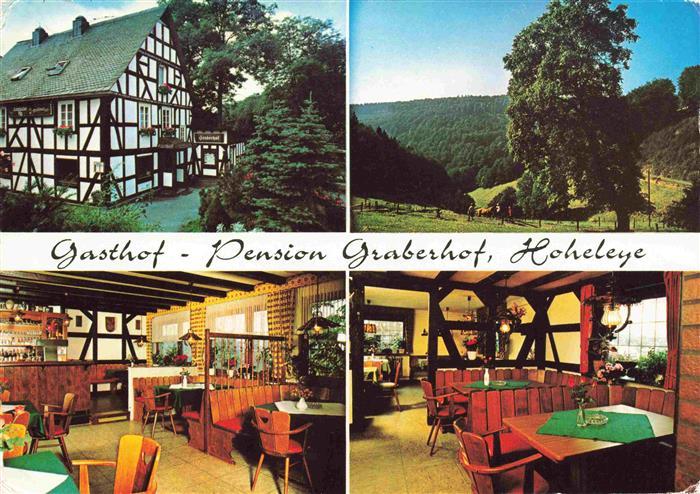 Hoheleye Gasthof Pension Graberhof Gastraeume Panorama